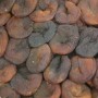 Naturally dried apricots