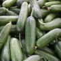 Çengelköy cucumbers